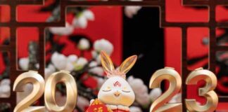 Capodanno Cinese 2023, le tendenze per lo shopping 2023 cinese alibaba