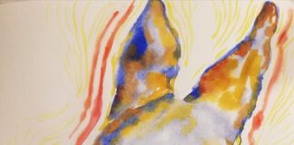 “d’Anima e d’Animali” l’esposizione dell’artista Silvia Valeri a Roma