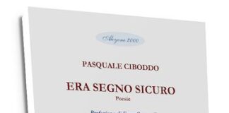 “Era segno sicuro”, alla scoperta del libro di Pasquale Ciboddo era segno sicuro libro