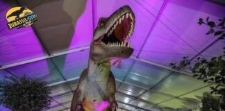 Jurassic Expo in Tour, la mostra dei dinosauri a Pavia jurassic expo