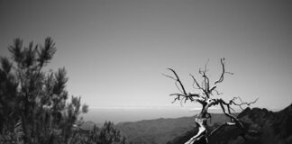 Genova, al Museo del Faro la mostra “L’età della resa”: ecco quando l'eta della resa