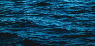 Blue Monday: come superare la malinconia con cinque consigli mare blu