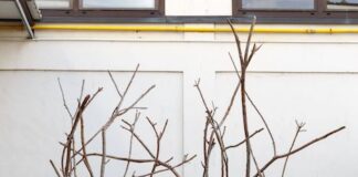 Il programma espositivo 2023 di Galleria Borghese a Roma