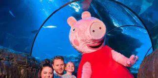 “Peppa Pig Aquarium Adventure” al Gardaland Sea Life Aquarium peppa pig gardaland sea life aquarium