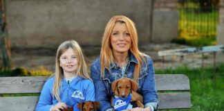 Pumba il maialino social e Numb il cane alpinista protagonisti in tv