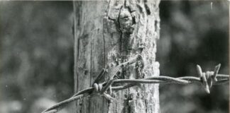 “Emilio Scanavino. Luce e Materia” la produzione dell’artista a Milano