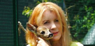 Speciale sui selvatici del Cras “Stella del Nord” in tv bambi