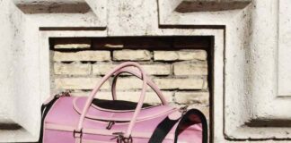 Borsa trasportino da viaggio e zaini per gli amici a quattro zampe borsa trasportino cani