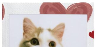 Instax Heart Sketch, da Fujifilm la nuova pellicola formato mini gatto cuore