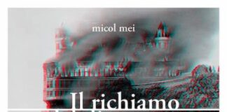 “Richiamo del dirupo”, la recensione del libro di Micol Mei il richiamo del dirupo