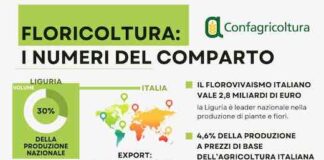 Floricultura, i numeri del comparto: Liguria regione leader nella produzione infografica floricoltura