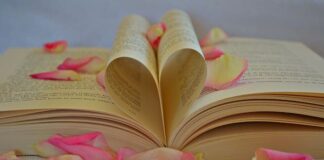 Libri da leggere: i consigli di Febbraio 2023 libri cuore petali fiore