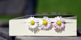 Libri da leggere: i consigli di Marzo 2023 libri margherite
