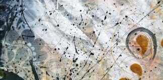 “1+1=3” la mostra degli artisti Monica Pirone e Sergio Angeli a Dijon