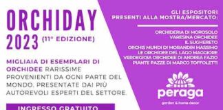 Orchiday 2023, mostra Mercato Internazionale di Orchidee di Peraga orchiday 2023
