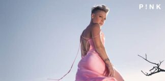 “Trustfall”, alla scoperta del nono album di Pink: la tracklist pink trustfall