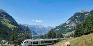 Trenino Verde delle Alpi: viaggio nel cuore della alpi svizzere trenino verde delle alpi