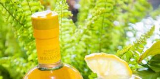 Tabar & Tonic, il cocktail con il Gin Tabar Bergamotto gin tonic bergamotto