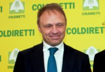 Lollobrigida: “Mettiamo il credito d’imposta su gasolio agricolo in Dl”