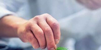 Alimentazione più sostenibile, i comportamenti degli italiani chef cooking