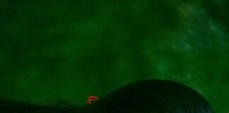 “꽃(Flower)”, Jisoo delle Blackpink lancia il primo singolo jisoo