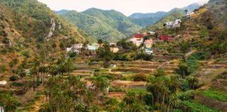 Enoturismo: le strade del vino delle Isole Canarie lagomera macayo