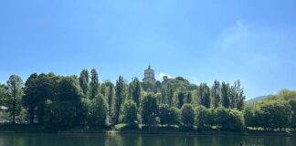 Parco verità di Monica Baldini parco del valentino torino