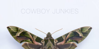 “Such Ferocious Beauty”, l’album folk-rock dei Cowboy Junkies cowboy junkies cover