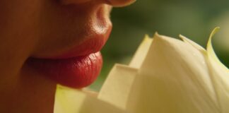 Cura delle labbra: una guida per averle al meglio dr max
