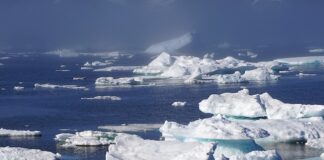 Groenlandia, una terra che soffre: una spedizione per studiare i cambiamenti climatici icebergs