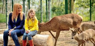 Operazioni di salvataggio in Emilia Romagna a “Dalle parte degli animali”