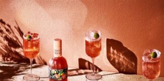 Cocktail estivi con l’Amaro Santoni: quattro ricette amaro santoni spritz