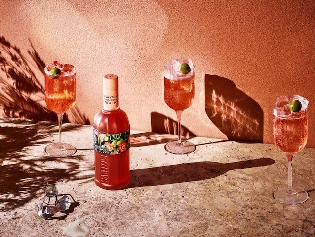 amaro santoni spritz