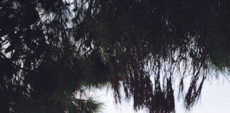 Calzedonia presenta la Travel Guide delle vacanze mediterranee ciao mare croazia