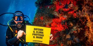 Cambiamenti climatici: le paure degli italiani secondo una ricerca Underwater Sea Temperature Monitoring Station in SardiniaStazione di Monitoraggio della Temperatura del Mare Subacquea in Sardegna