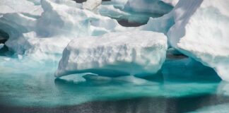 Il diario dalla Groenlandia, approfondimento sulla spedizione groenlandia