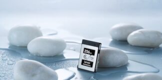 Lexar potenzia la gamma CFexpress: le caratteristiche lexar cfexpress type b