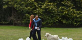 Omaggio a Silvio Berlusconi a “Dalla parte degli animali” omaggio silvio