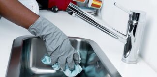 L’importanza della prevenzione per proteggersi degli infestanti pulizia