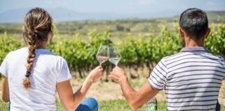 Tesori Enologici di Sardegna: panoramica sulle zone vinicole audarya