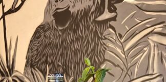 Cocktail analcolico Bedda Mia: la ricetta ideata da Giulia Castellucci bedda mia cocktail