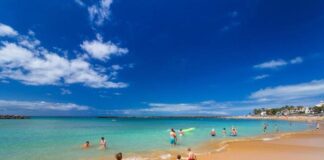 Viaggio in famiglia last minute: cosa vedere nelle Isole Canarie el camison tenerife