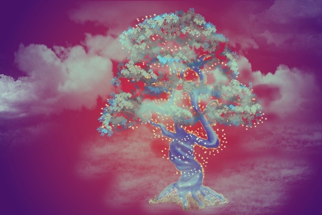 fairy tree arte digitale
