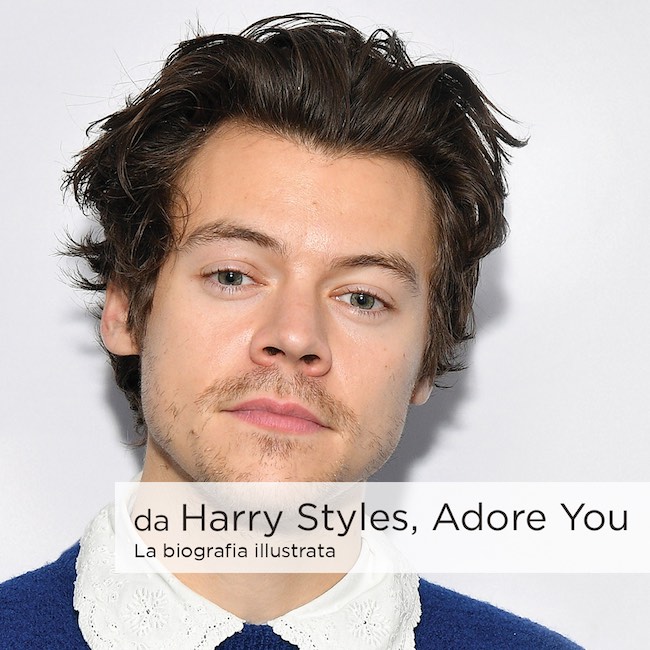 harry styles adore you