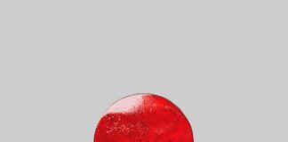 “K-Pop”, il singolo di Travis Scott con Bad Bunny e The Weeknd k-pop cover