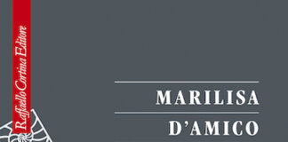 “Parole che separano”, il nuovo libro di Marilisa D’Amico parole che separano