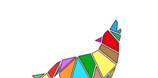 Wonderful Sila Festival il 12 agosto a Cotronei: 12 ore di musica no stop