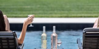 Vini per l’estate 2023: alcuni consigli da Fantini Wines vini estate