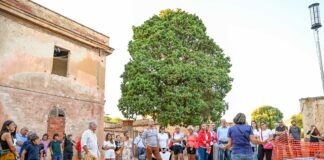 Grande successo per la Prima al Villaggio Minerario Asproni tra la cultura di LiberEvento e la musica di Artango&Jazz Festival