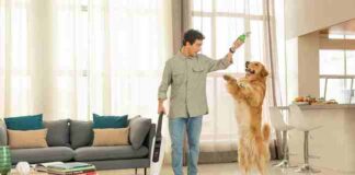 Giornata Mondiale del Cane 2023: croci e delizie dell’amico a 4 zampe cane vorwerk folletto